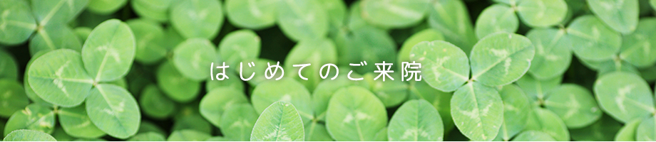 はじめてのご来院