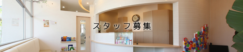 �X�^�b�t��W