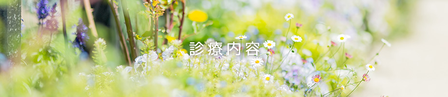 診療内容